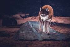 Julie ROUX - JULIE ROUX PHOTOGRAPHE