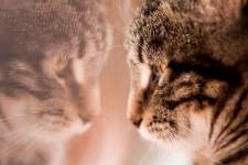 Elodie DEVAYE - CLIC N' REC