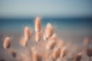 Julie ROUX - JULIE ROUX PHOTOGRAPHE